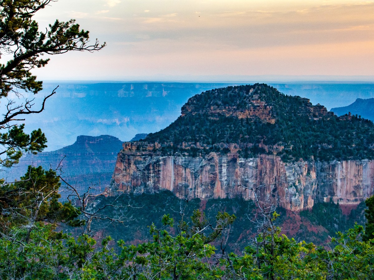 Even the Best Laid Plans Go&nbsp;Awry