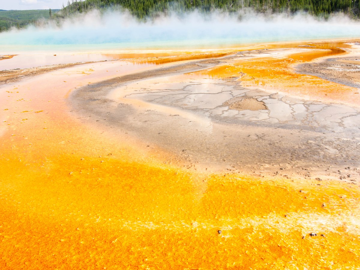 Big Horn Sheep, Hot Springs, and (No) Bears – Oh&nbsp;My!