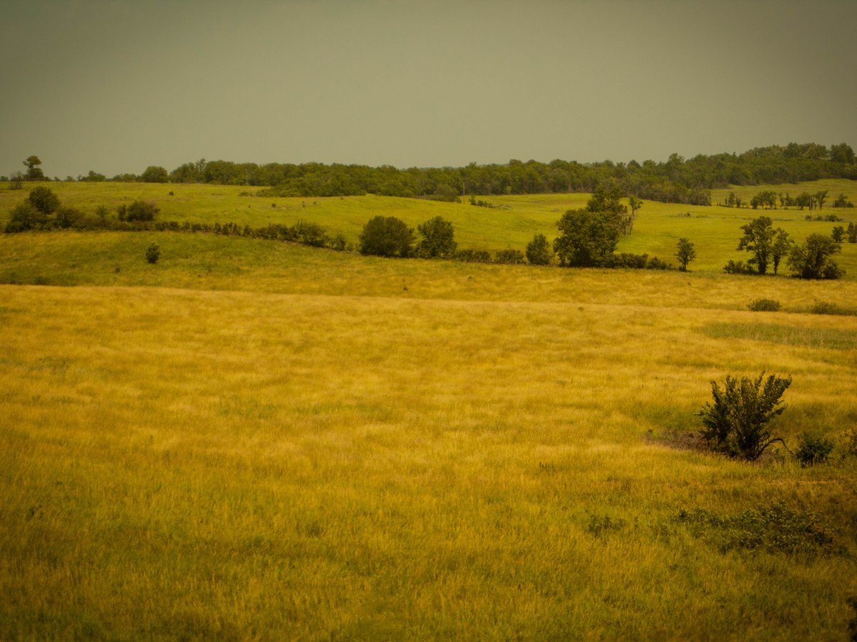 19 States in 22&nbsp;Days