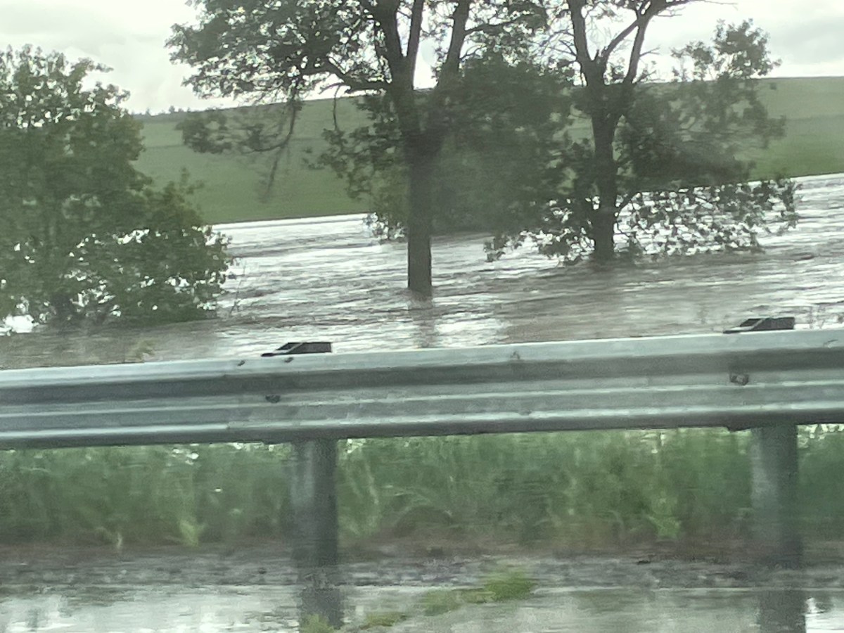 Out of the Rain and into…More&nbsp;Rain